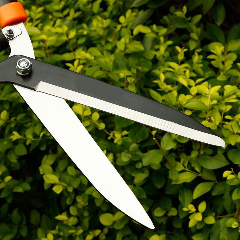 向阳天刀 剪型号花剪园艺工具平剪坪树枝剪园林绿化剪刀剪绿篱剪定制老农夫52gx伸缩绿篱剪 价格图片品牌报价 苏宁易购宝之珠五金专营店