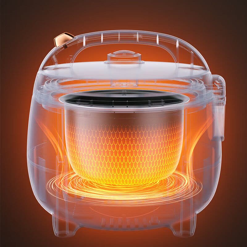 龙的(Longde)LD-FF305E电饭煲3L家用电饭锅西施煲简单易操不粘饭锅快速饭图片