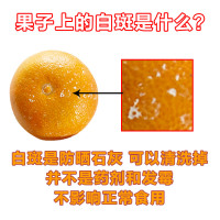 [一贤生鲜]当季爱媛38号果冻橙 净重3斤 特大果 可以吸的 新鲜水果 单果85mm以上 西沛