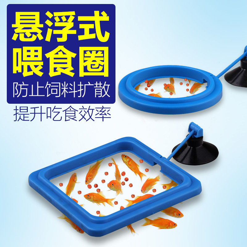 鱼缸喂食器水族箱投食器投食圈小型鱼缸喂食投喂鱼食_1 默认尺寸 方形喂食圈