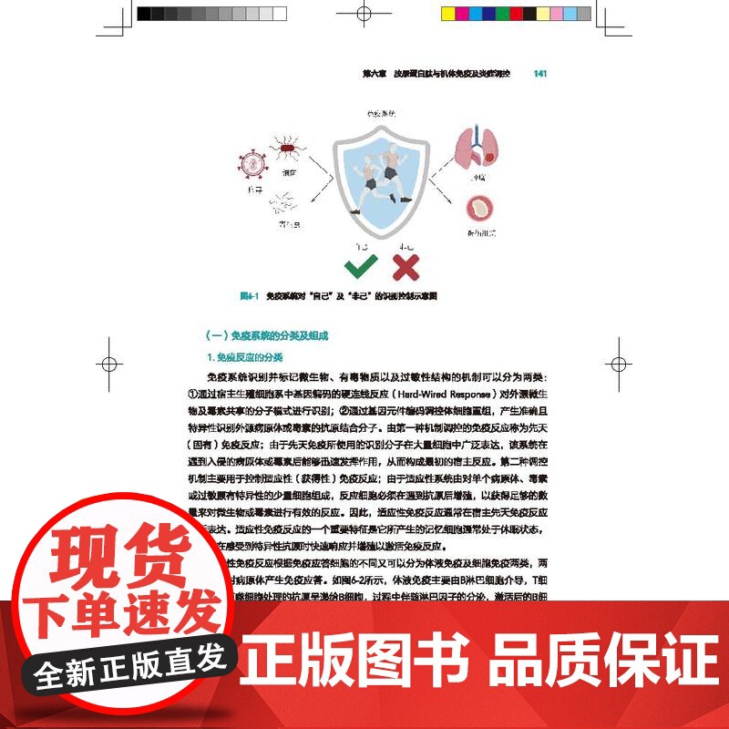 科技.胶原蛋白与胶原蛋白肽功能与应用洪惠谭雨青罗永康出版年份2022年最新印刷2023年7月版次1最高印次2食品与生物食高清大图