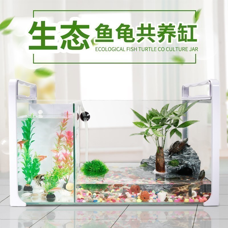 乌龟金鱼鱼缸龟鱼和鱼龟混养缸两用一体生态客厅深水龟小型二合一高清大图