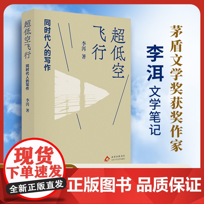 超低空飞行:同时代人的写作(李洱文学笔记 专业的鉴赏高清大图