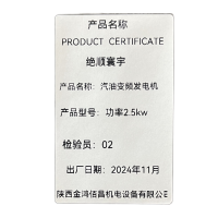 汽油变频发电机 功率2.5KW