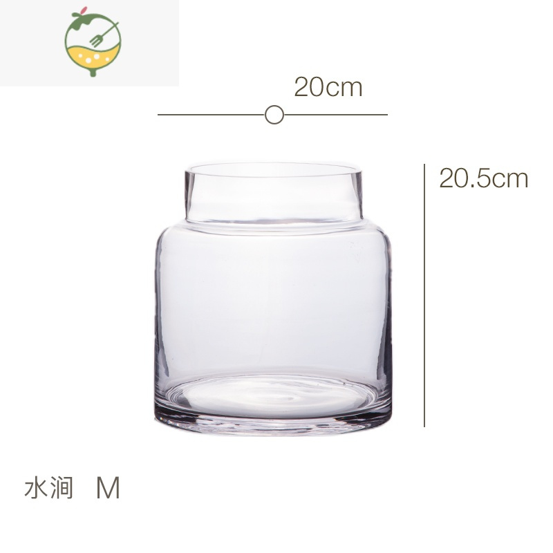 YICHENG 透明大肚玻璃花瓶客厅餐桌水培小天使春羽绿萝花器 水涧 花瓶大肚