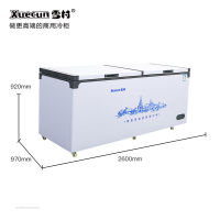 雪村(Xuecun)BD/BC-1380 1380L 卧式冷柜 单温顶开门 冷冻冷藏转换柜 商用冷柜 冰柜 雪糕柜