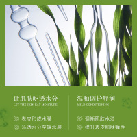 [10片装]泊泉雅海藻熊果苷保湿面膜25g/片轻薄服帖透气补水保湿润泽精华面膜护肤