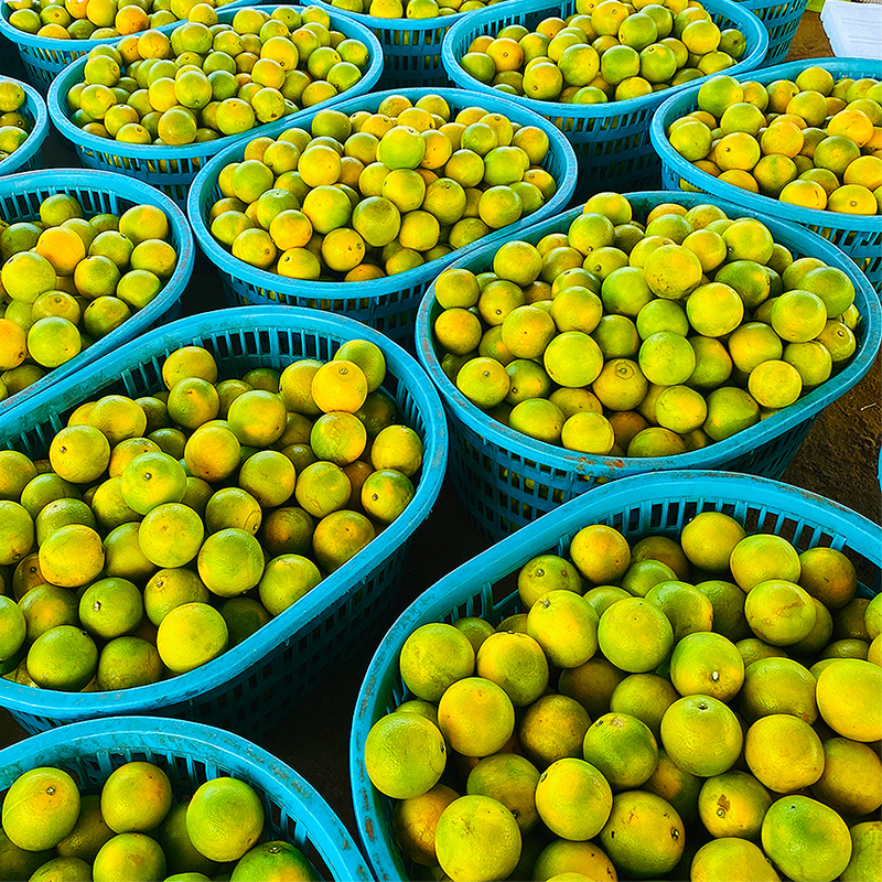 海南火山红心橙10斤装中果爆汁清甜无酸好吃的橙子超冰糖橙