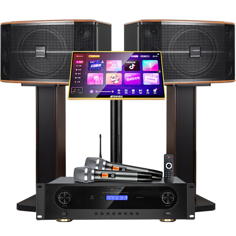 山水(SANSUI)FK-101 家用电视客厅音响套装 大音箱 【推荐】FK101三分频10单元+功放+话筒+3T