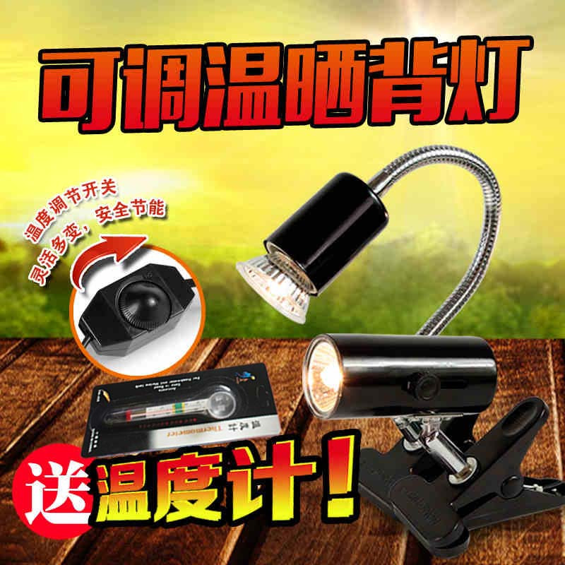 乌龟晒背类UVB灯太阳灯龟缸三合一补钙龟灯乌龟缸爬宠陆龟灯高清大图