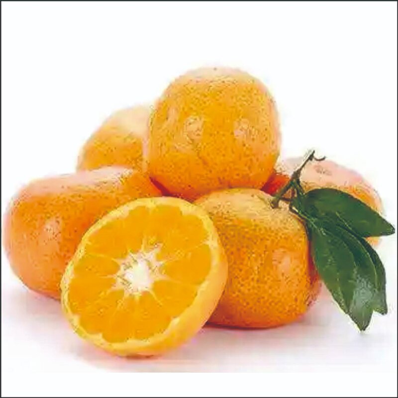 钿满堂砂糖桔5kg/箱高清大图