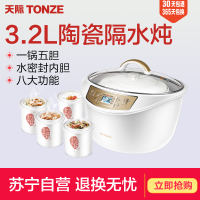 天际DGD32-W132B水密封隔水炖盅电炖锅陶瓷内胆煮粥煲汤锅一锅五胆养生电炖锅全自动预约定时3-4L/3.2升
