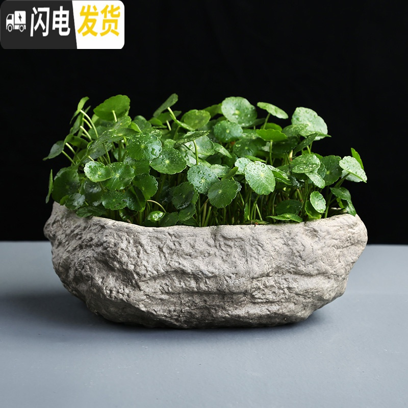 三维工匠铜钱水培水仙花盆仿石头盆景大号水养碗莲个性创意陶瓷无孔 F-石-2小 中等花盆容器