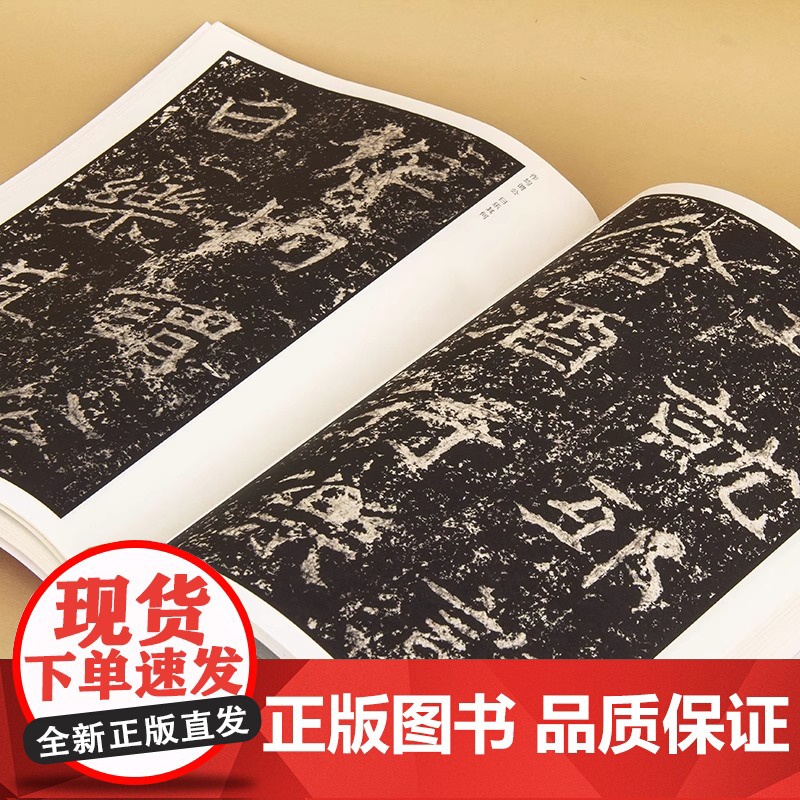中国历代名碑名帖精选 郑文公碑 北魏郑道昭楷书毛笔字帖书法临摹练习古帖拓本书籍楷书毛笔书法字帖 中国历代名碑名帖精选书籍高清大图