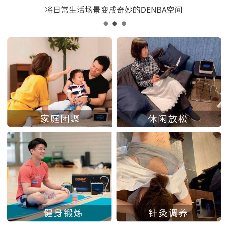 DENBA Charge电源线生物电场发生器设备附件