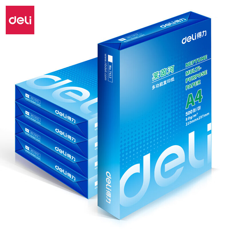 得力(deli)莱茵河A4复印纸80g2500张210*297mm打印纸办公纸学生用草稿纸白纸 7419/5包装