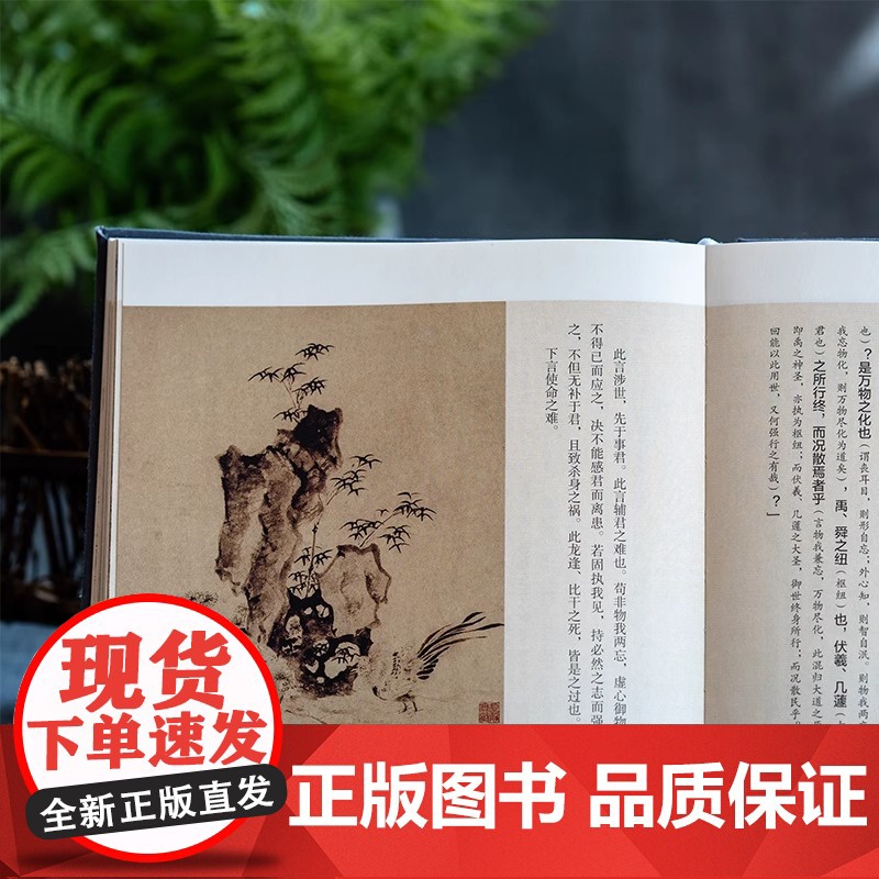 [插画版]庄子:王宠小楷珍藏本注释译文版庄周著国学经典书籍中国哲学传统文化人生励志修养全书庄子的智慧老子庄子道家经典著作高清大图