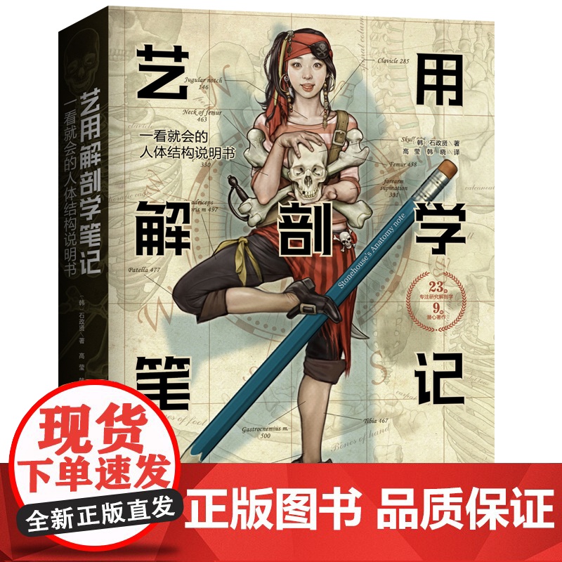 艺用解剖学笔记 韩国大触石政贤 伯里曼的黄金搭档 绘画理论图谱 人体结构素描教程人体肌肉李哲图书 北京科学技术出版社现高清大图