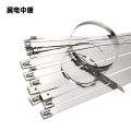 冀电中康 304不锈钢扎带 4.6*750mm 包