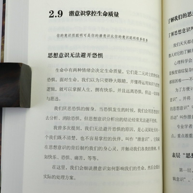 [正版]与潜意识对话 催眠导师刘心阳潜意识境界身心灵修行激发内在能量再塑内在自我情绪词典 心理学书籍