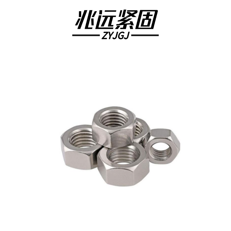 兆远紧固 304不锈钢六角螺母(个)(M20)