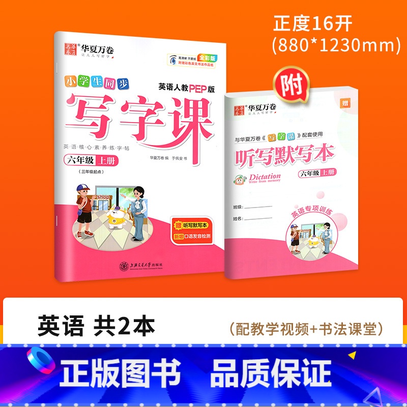 [全彩版]六 上(英语)配听写默写本 [正版]字帖写字课一二三四五六年级上册下册 下上语文英语同步练字帖一年级字帖练字小高清大图