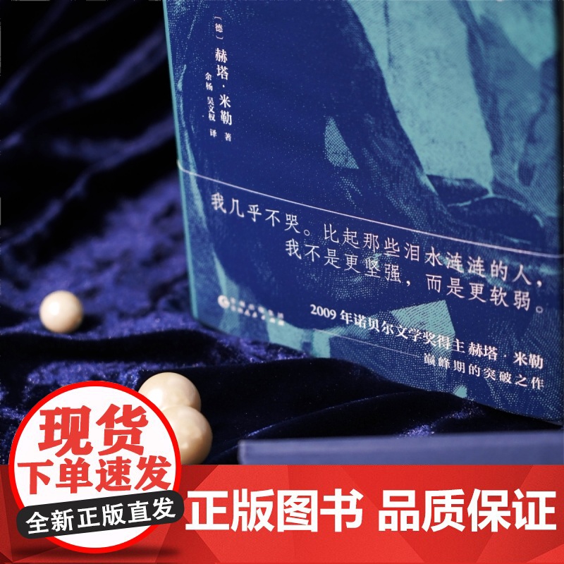呼吸秋千 2009年诺贝尔文学奖得主赫塔·米勒突破之作 以诗的凝炼、散文的率直 外国文学小说书籍高清大图