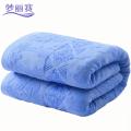 梦丽赛 毛巾被 150cm×200cm （个）