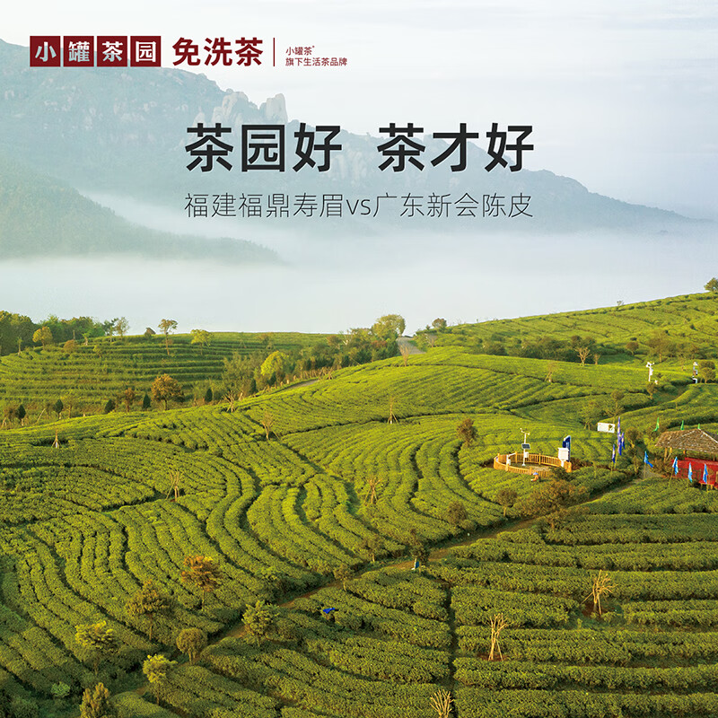 小罐茶 小罐茶园彩标系列陈皮白茶2.0版3g*35小饼/罐高清大图