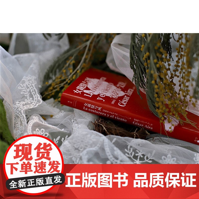 女裁缝与风 博尔赫斯继承人女俘爱玛野兔作者塞萨尔艾拉拉美文学外国小说上海人民出版社高清大图