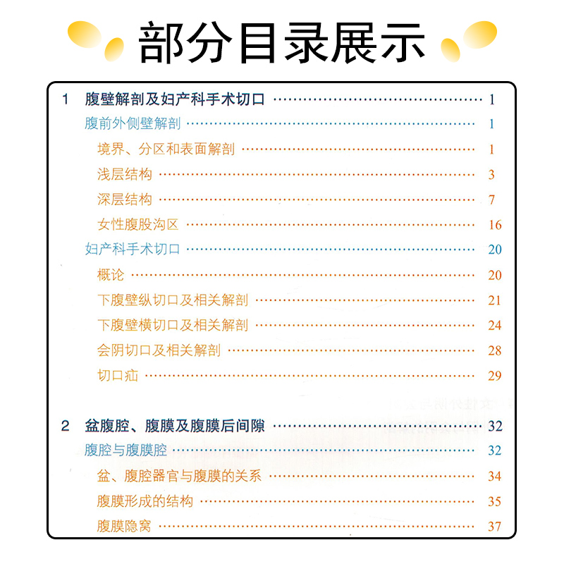 [正版] 妇产科临床解剖学第2版 钟氏镇现代临床解剖学全集第2版 郎景和 张晓东 临床解剖案例教程 山东科学技术出版社高清大图