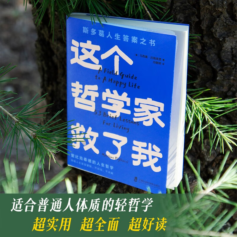 这个哲学家救了我 爱比克泰德的人生哲学 [正版]这个哲学家救了我 爱比克泰德的人生哲学 马西莫·匹格里奇 著 人生底层逻高清大图