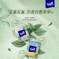 Tempo得宝手帕纸苹果木味4层加厚面巾纸12包 外出便携随身装小包香味纸巾(新旧包装交替发货)