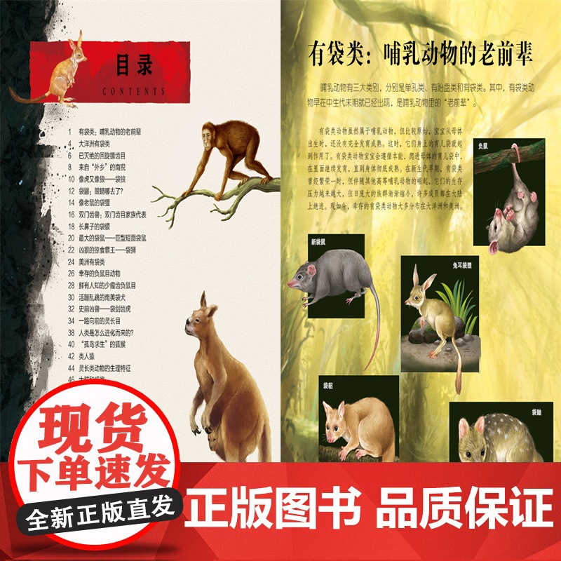 生命简史 穿越地球46亿年 有袋类和灵长类动物 6-12-15岁儿童中小学生青少年科普读物 宇宙起源地球形成生命诞生史前高清大图