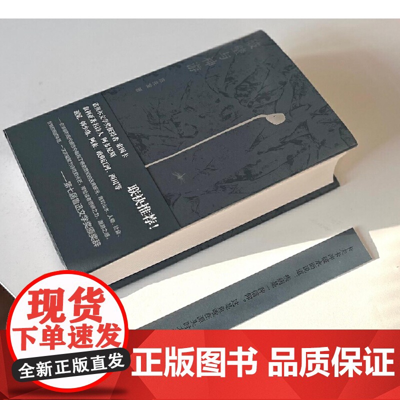 纯粹·破壁与神游 9787559876690 广西师范大学出版社 陈先发 纯粹Pura出品 2025-02高清大图