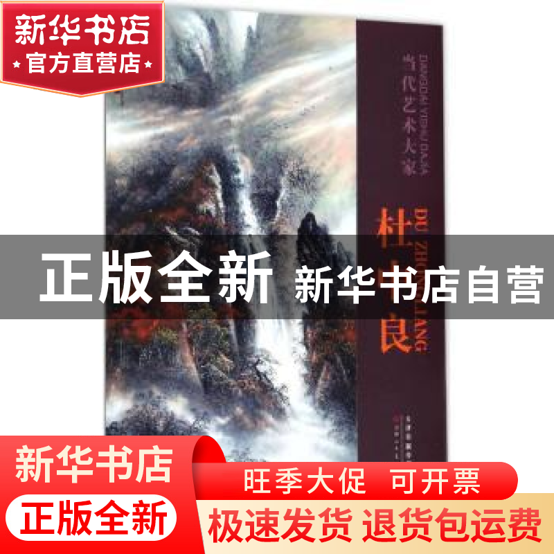 正版 当代艺术大家:杜中良 杜中良 绘 天津人民美术出版社 97875