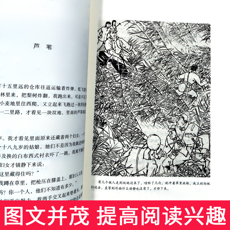 [正版]原著七年级 书 白洋淀纪事孙犁完整无删减书籍七年级八九年级初一初中生版课外阅读书籍北师大出版社的战争小说白洋淀