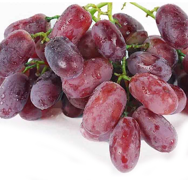 大土澳 澳洲无籽红提1000g装 无核红葡萄提子红提子葡萄时令进口提子红葡萄新鲜水果