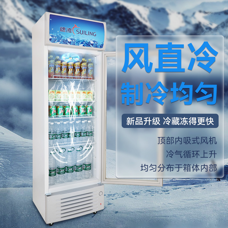穗凌(SUILING) LG4-305FE商用立式展示柜饮料柜汽水矿泉水柜风直冷速冻冷藏双层玻璃 一级能效[新款上市]