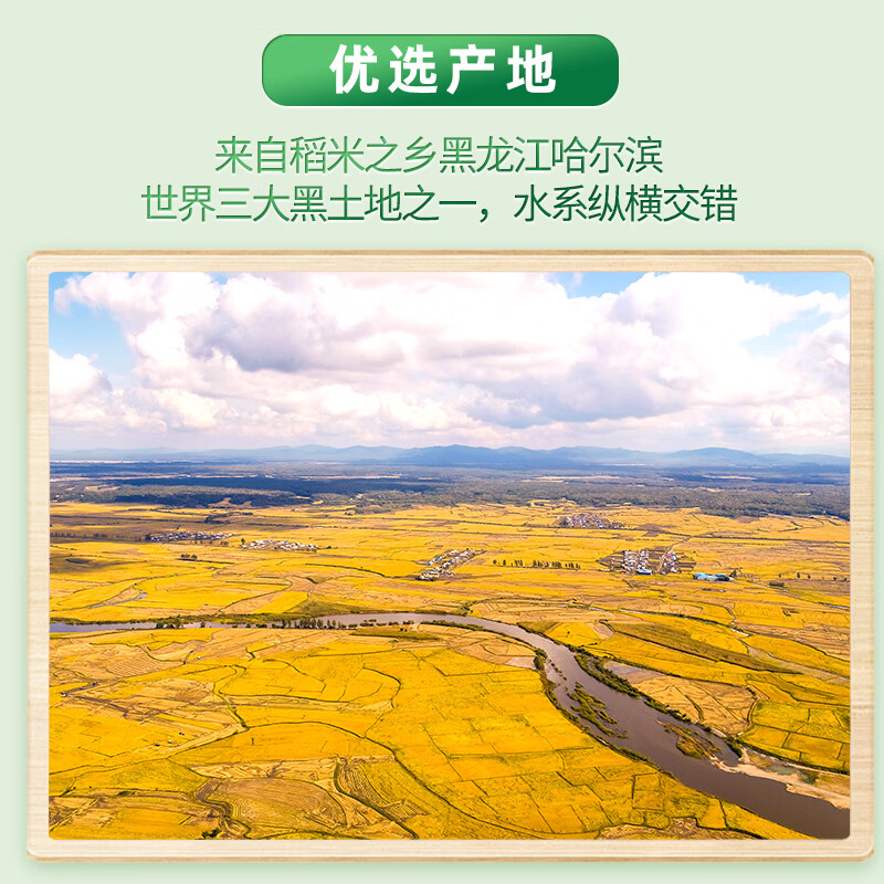 十月稻田 长粒香大米 1斤 东北大米 香米 粳米 小包高清大图