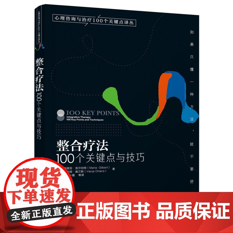 正版 整合疗法 100个关键点与技巧 心理咨询与治疗100个关键点译丛 哈维 拉特纳 心理健康心理咨询师心理诊断治疗康高清大图