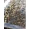 鸿禧牌 菊花茶500g 胎菊王优质袋装散装500克/袋