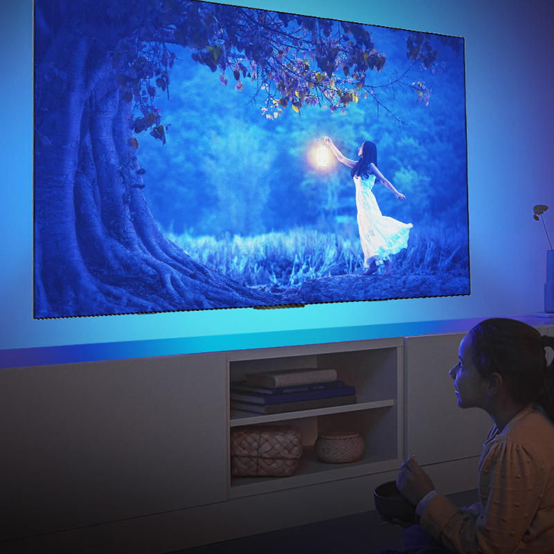 飞利浦(PHILIPS)65英寸 65OLED866 OLED 全面屏 环景光 4K超高清杜比全景声 网络智能电视机