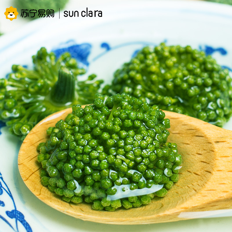 桑克拉三七花茶125gX2瓶精选当季新花 云南文山田七茶花 花苞大无碎特产