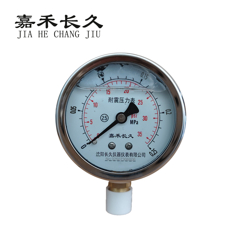 嘉禾长久 耐震压力表检测型 Y TN60 0-0.25Mpa 块