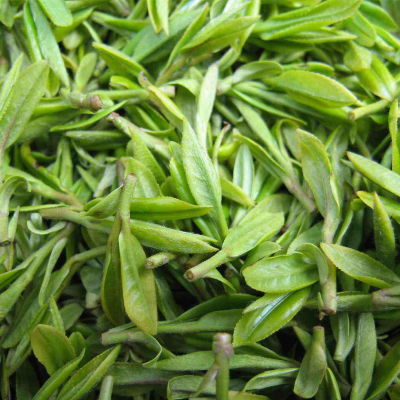 邑境高山绿茶茶叶新茶袋装150g大分量茗茶炒青绿茶云雾嫩芽