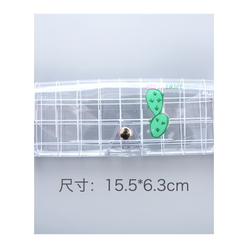 权夫人创意小清新眼镜收纳盒便携式塑料透明轻便近视眼镜盒女款学生 仙人掌-格子底593AT