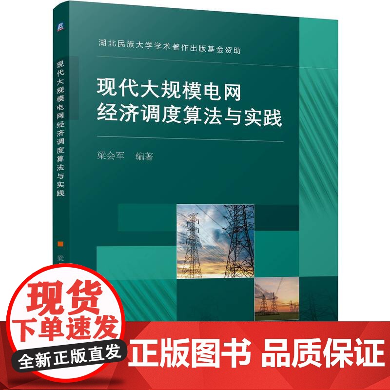 正版 现代大规模电网经济调度算法与实践 梁会军 电力系统 经济调度 数据驱动 单目标 复杂系统 决策 建模 电动汽车高清大图