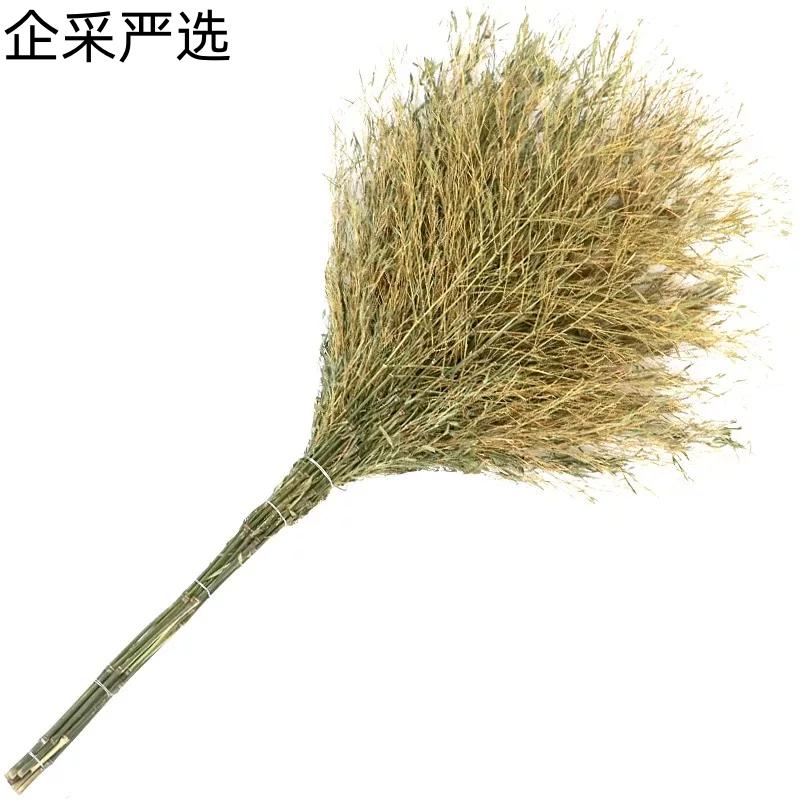 企采严选 无叶一体式大扫把 (把)