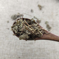 海金沙草 海金沙藤新鲜中药材店铺500克虾蟆藤 中草药大全
